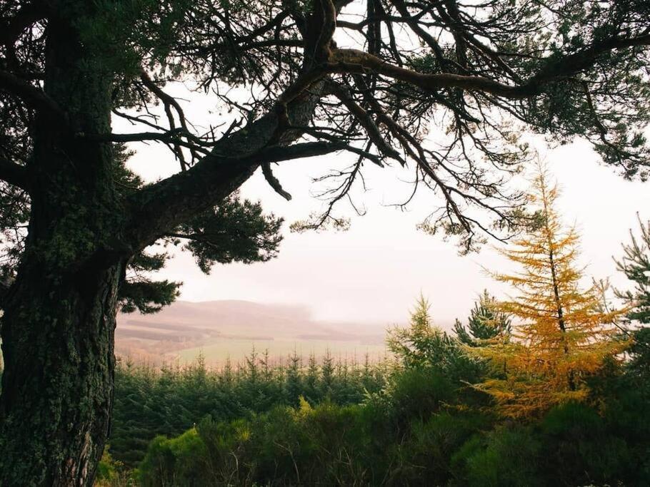 Апартаменты Beatshach Bothy - Speyside, Incredible Location! Дафтаун Экстерьер фото